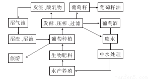 咨询 第132页