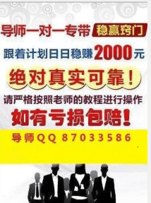 2025天天彩正版免费资料,警惕虚假宣传,程序执行提升_休闲