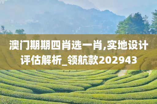 2025年新奥最新资料内部资料,揭秘预测背后全套路!快速精.